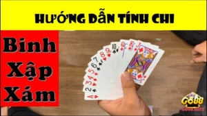 Giới thiệu cách tính chi mậu binh cho người mới cực chi tiết